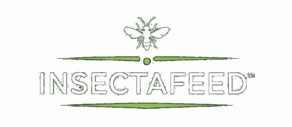 insectafeed.com